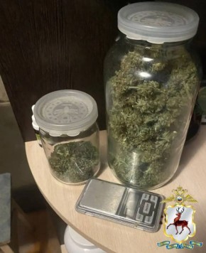 В Семеновском округе полицейские задержали наркоагронома