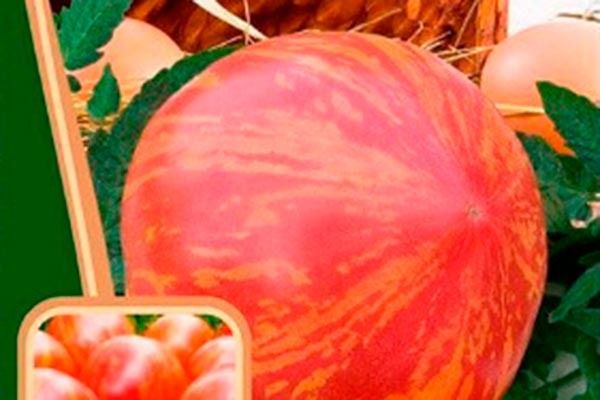 ����� ������� ����: ������� ��������� ����������� � ����� �����