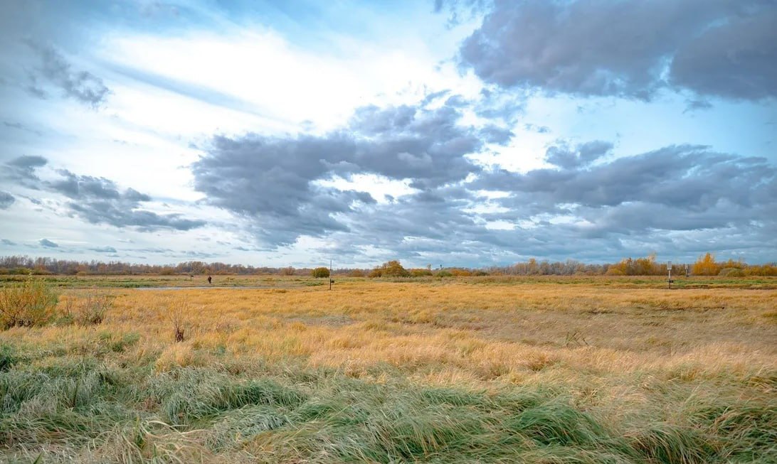 #* Подборка интересных новостей из регионов к этому часу #* Подборка интересных новостей из регионов к этому часу