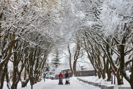 Новые изменения в жизни россиян в феврале 2026 года