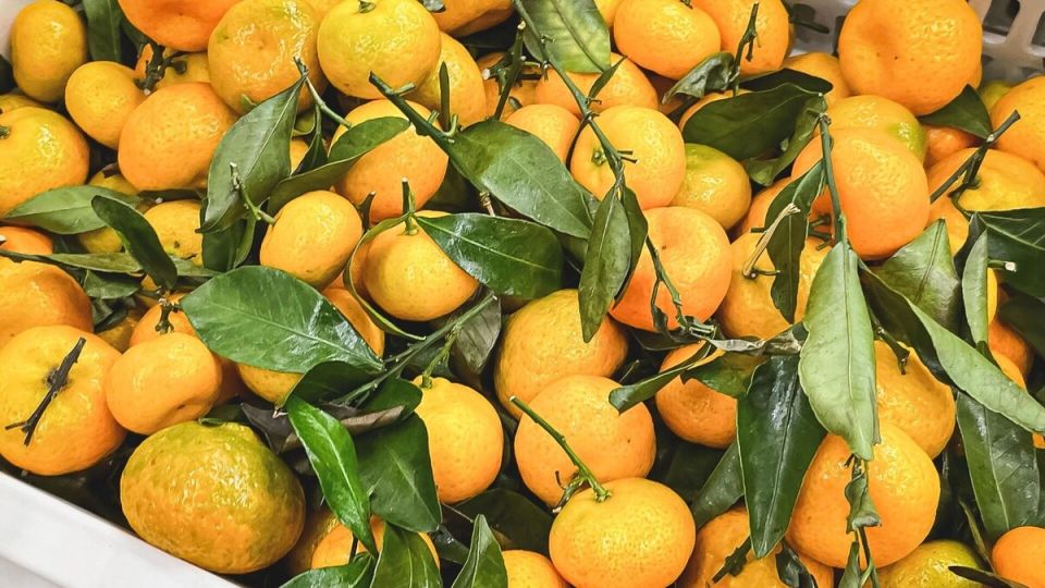 ��� ������� ��������� ��������� � ������ ����: ������ ���������