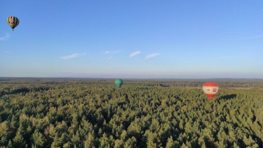 ����� ����� �������� �������� ������ �� ����� �� ������� � 2026 ����?