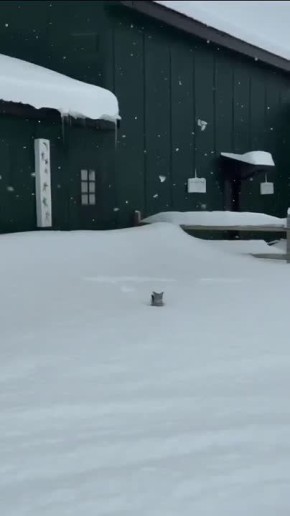 ��������� ��������� ��������