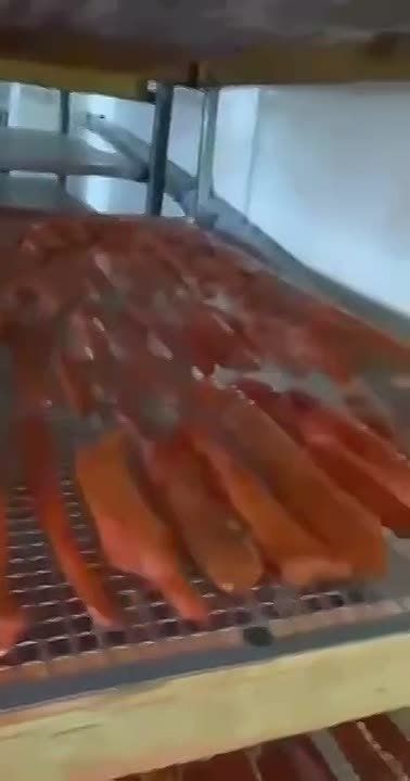 ����������� ���������� �