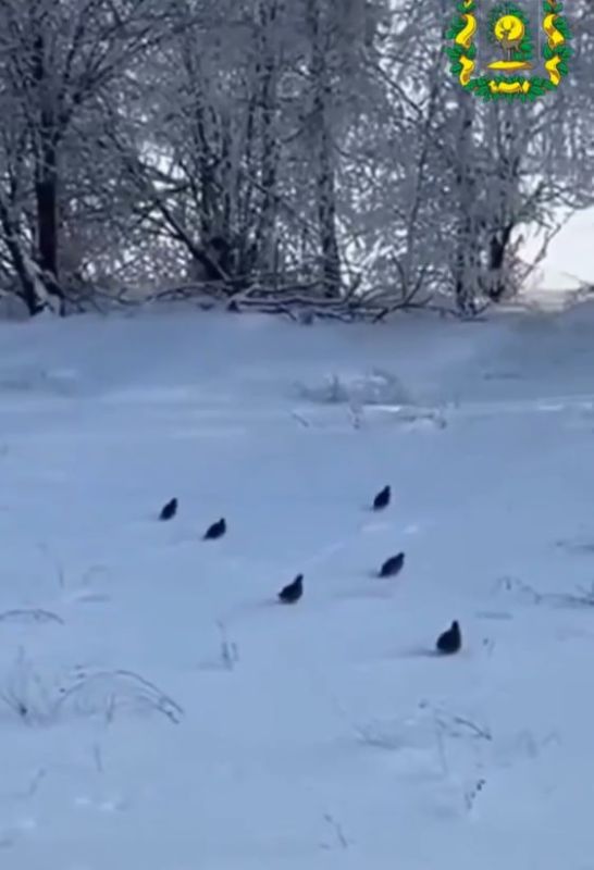 ������������� ����������������� ���������� ������ ���� ����� ��������