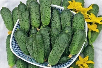 ��� ����� ����� �� ������ ���������: �� ����������� �� �������� �������