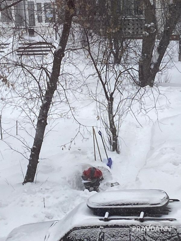 ��������, ����� ������� �������� � ������