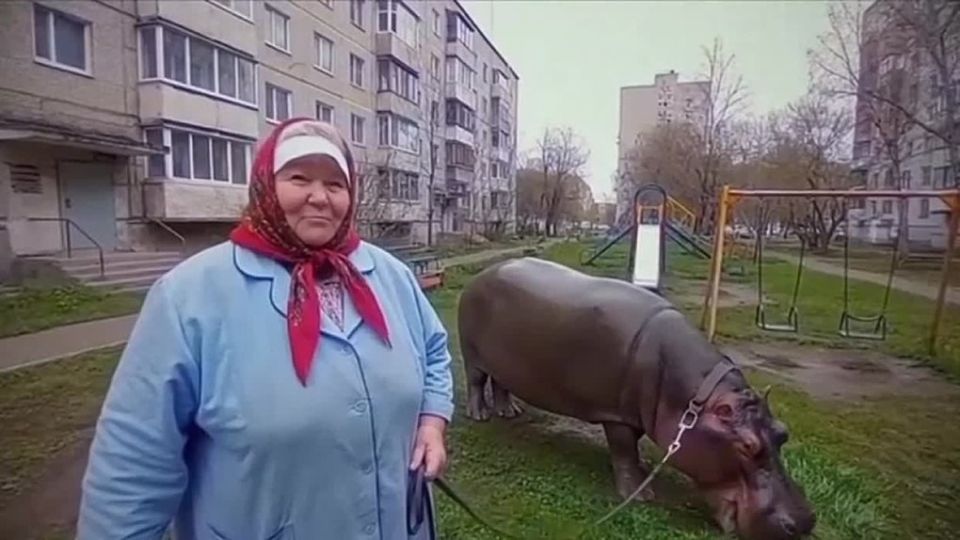 ����� ����� ������������ ��������� ��������� �� ��� ������� ������� �����