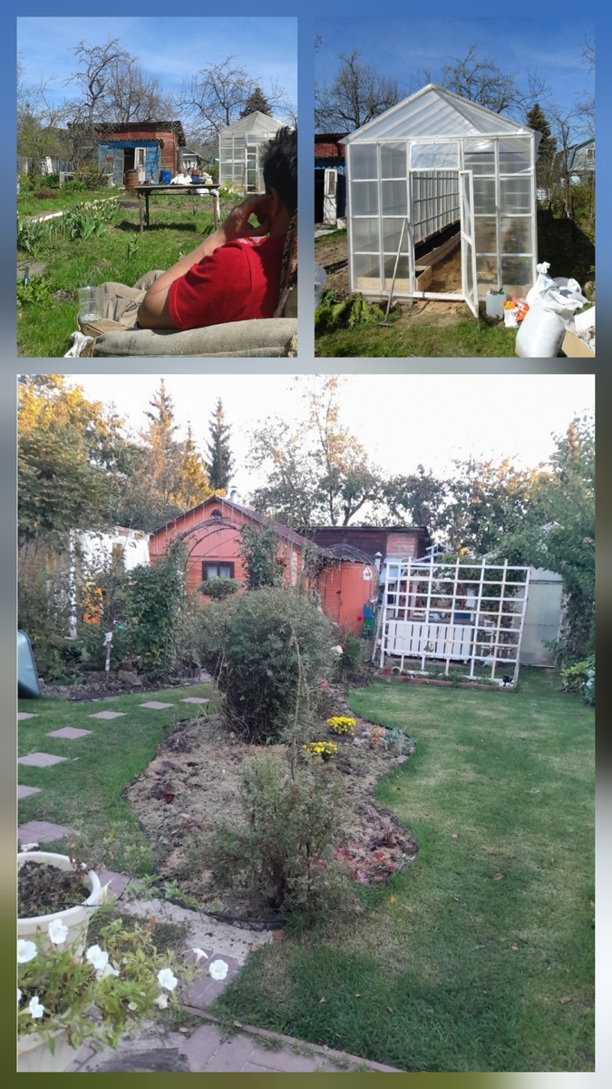 Преображение сада: как создать свое идеальное пространство на даче