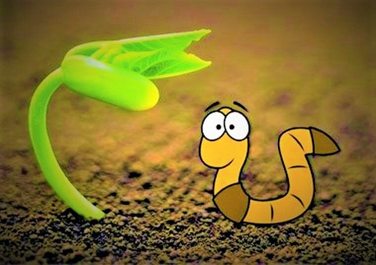 �������� ����� � ����: ������ ��� ���� ��� ��������?