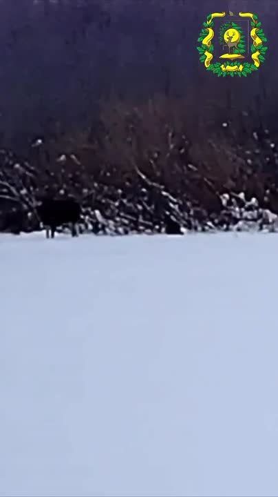 � ����� ���� ���������� ������� �� ���� ���������