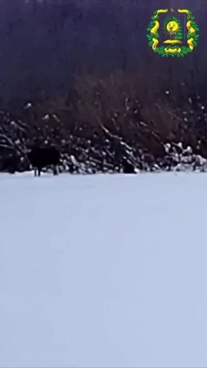 � ����� ���� ���������� ������� �� ���� ���������