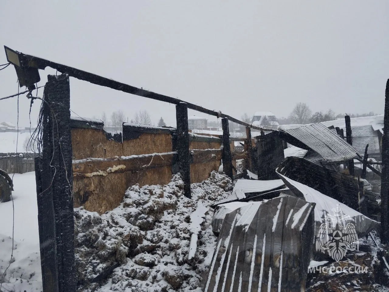 35 коров погибли на крупном пожаре в Володарске