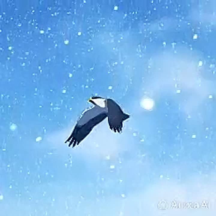 ������ ����, �����������!. ������� � ������ ����������� �������: �����