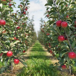 ���������� �������� �������: ���� � �������� ������