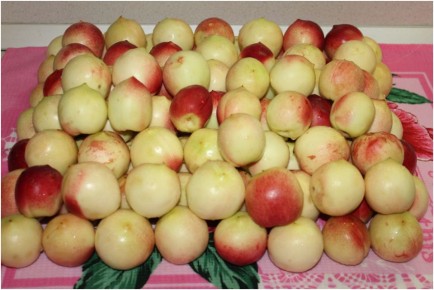 ������������ ��������� �� ����