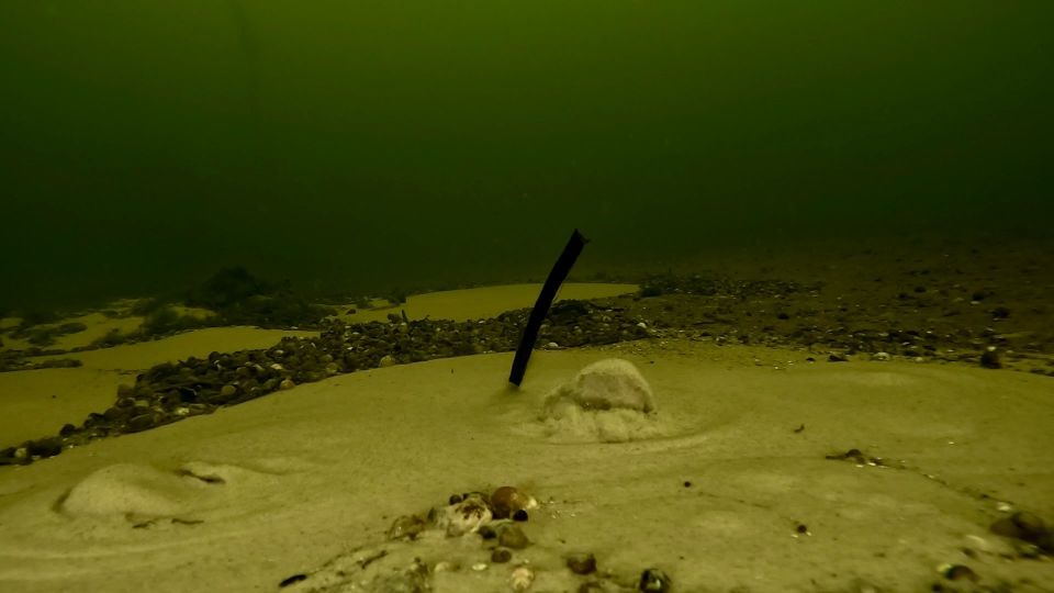 ������, ��� �������� ���� Ҹ��? ��������� �������!