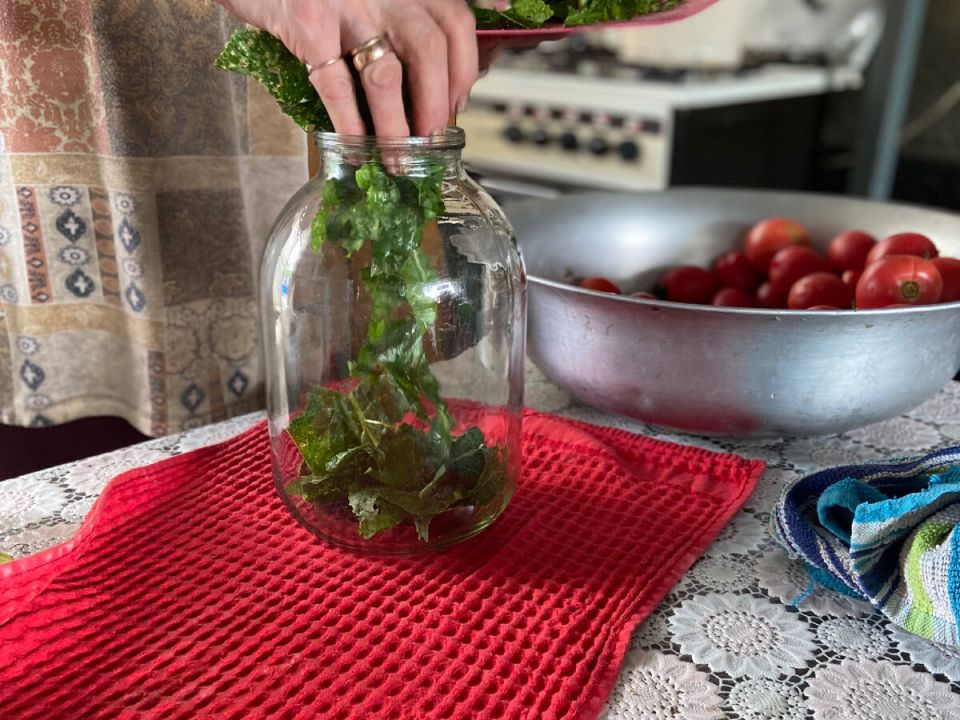 ����������� ������ ������������ ���������, ������� �� ��������