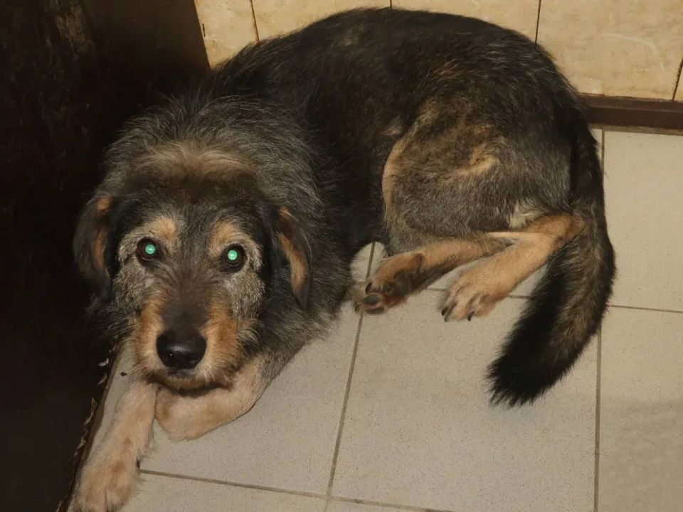 ��� ��� �������� ��������������� ������� ������ �� ������� ������� � � �� ��-�� ������������ ������