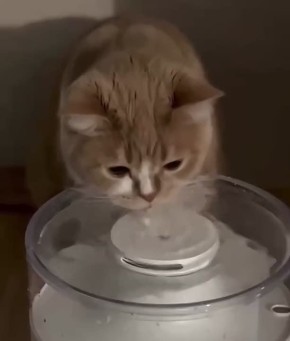 ����� ��� �� ������, ��� ������ ���������