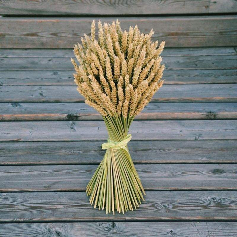 �������: �� ������� ������ �� �������������