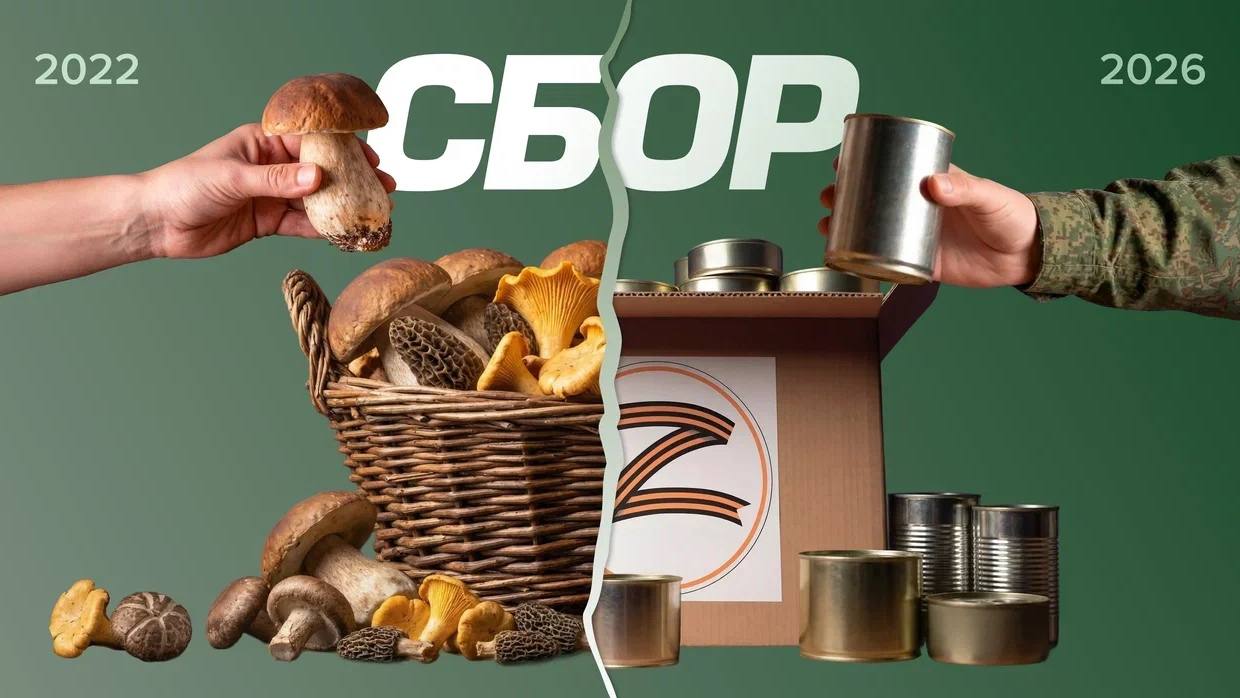 Ровно четыре года назад началась специальная военная операция… Ровно четыре года назад началась специальная военная операция…