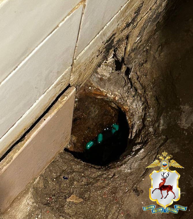 Подозреваемая в покушении на сбыт запрещенных веществ в крупном размере задержана наркополицейскими в Нижнем Новгороде Подозреваемая в покушении на сбыт запрещенных веществ в крупном размере задержана наркополицейскими в Нижнем Новгороде