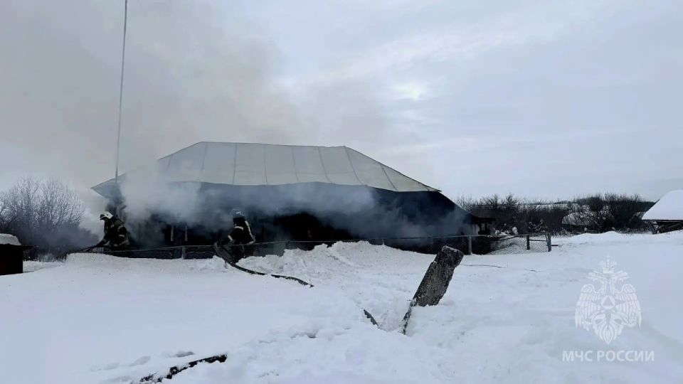 ���������� ��������� ���������� ������� � �������� � ���������� ������