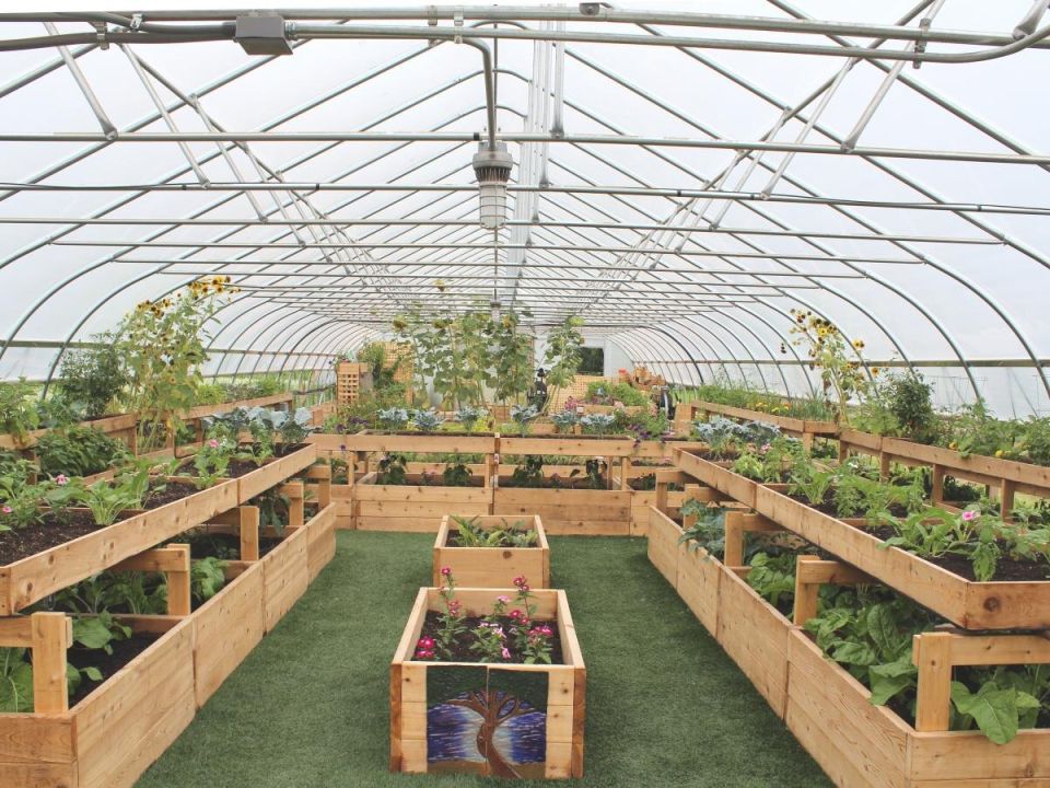 ����������� ������: ����������� ������� ��� ������ ����