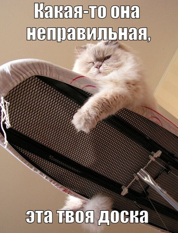 Продавец на маркетплейсе отказался принимать назад купленную балахнинцем гладильную доску и в итоге попал на ещё большие деньги