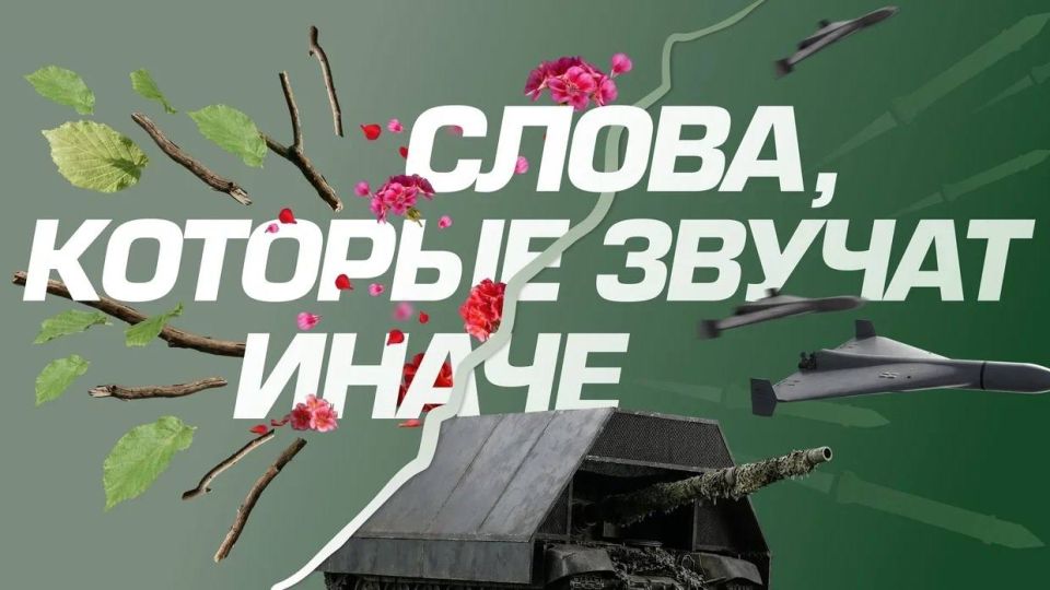 ����� ������ ���� ����� �������� ����������� ������� ���������