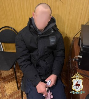 Сбыт крупной партии метилэфедрона пресекли сотрудники ППСп в Нижнем Новгороде