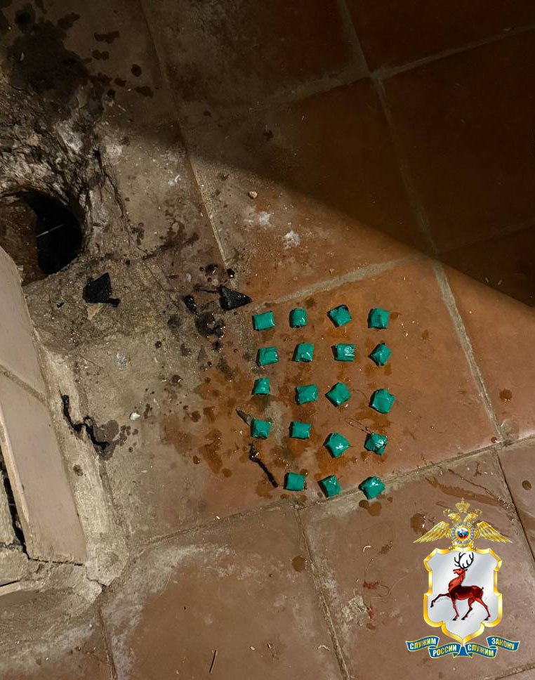 Подозреваемая в покушении на сбыт запрещенных веществ в крупном размере задержана наркополицейскими в Нижнем Новгороде Подозреваемая в покушении на сбыт запрещенных веществ в крупном размере задержана наркополицейскими в Нижнем Новгороде