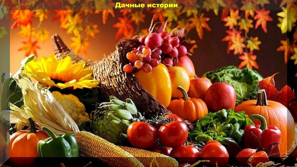 25 ������ �������� ��� ��������: ������ � ������������ �� ����� �� ����������