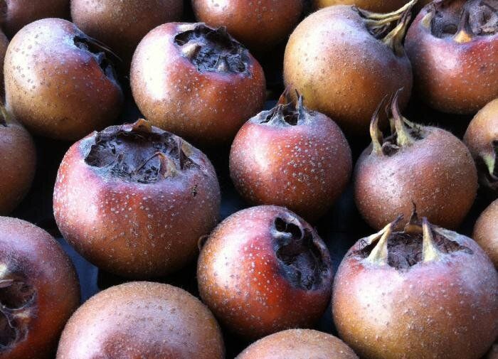 �������: ������� ������ ������� � ��������