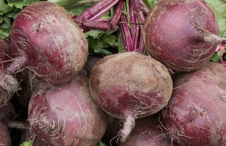 ��� ��������� ��������� ������: ������� � ������