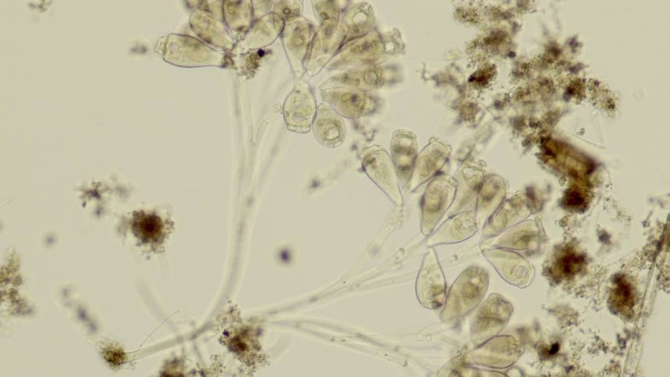 �� ���� � ��, ��� ������� ������ �������� �� ����