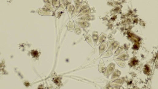 �� ���� � ��, ��� ������� ������ �������� �� ����