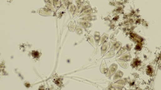 �� ������������� ������� ������� ���������� �� ��������� �������� ������� ������, ������������ � �����