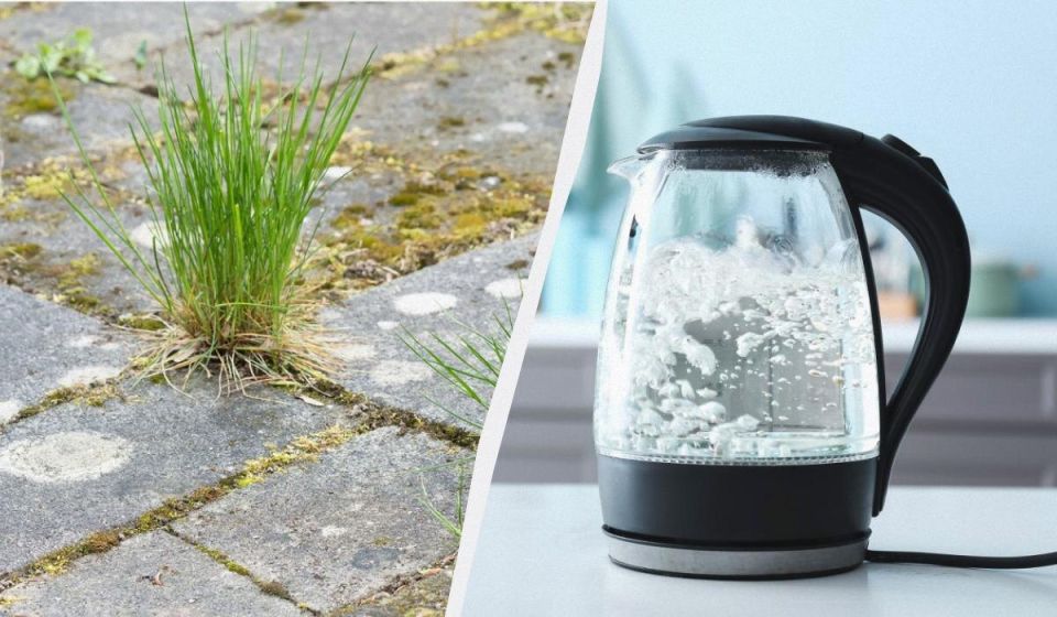 ������ ��������: ��� ���������� �� �������� ����� ������� � ������� �������