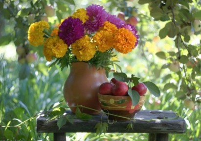 Уход за садом в конце лета: как преобразить ваш участок перед осенью