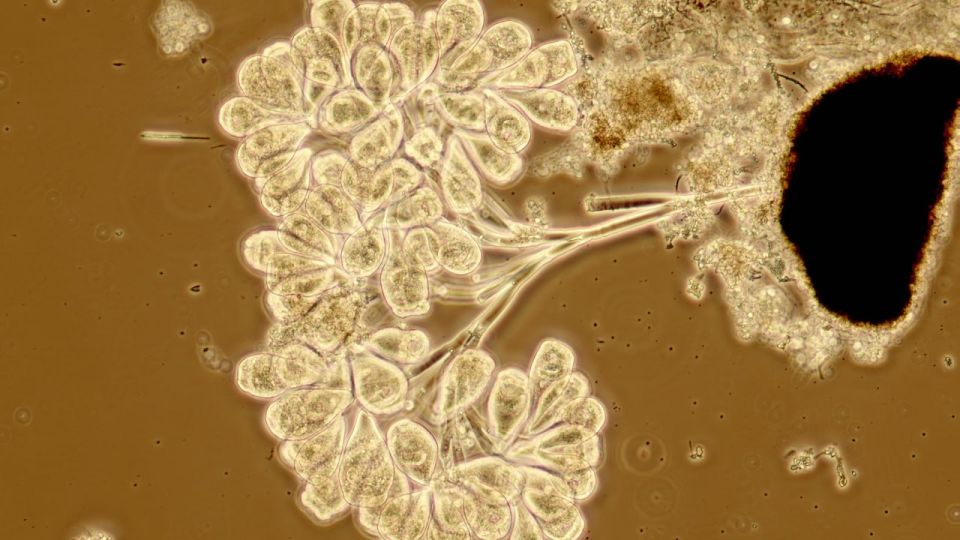 �� ������������� ������� ������� ������ ������� ����� ��������������, ������� ������� �����