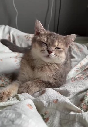 И силы на исходе…. Спокойной ночи, товарищи