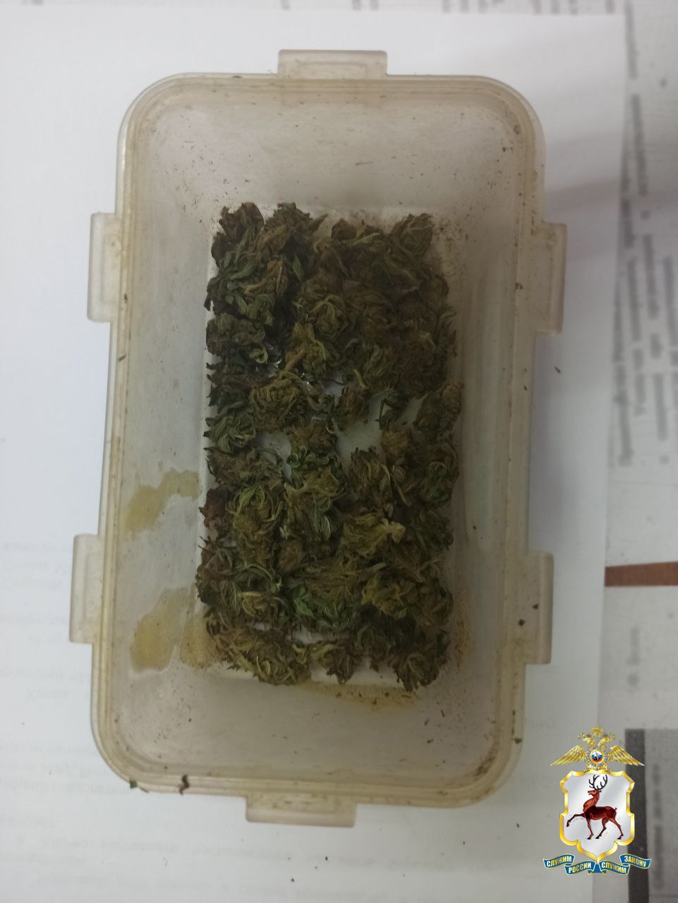 На Бору будут судить мужчину за покушение на сбыт крупной партии марихуаны На Бору будут судить мужчину за покушение на сбыт крупной партии марихуаны