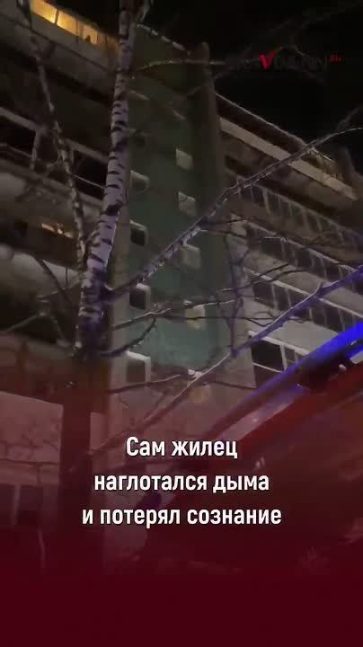 � ���������� ������� ���� �� ����� �� ������ � ��� ������ ���������� ���