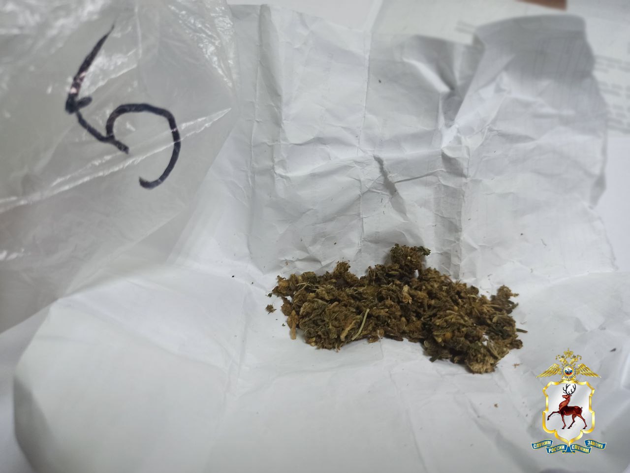 На Бору будут судить мужчину за покушение на сбыт крупной партии марихуаны На Бору будут судить мужчину за покушение на сбыт крупной партии марихуаны