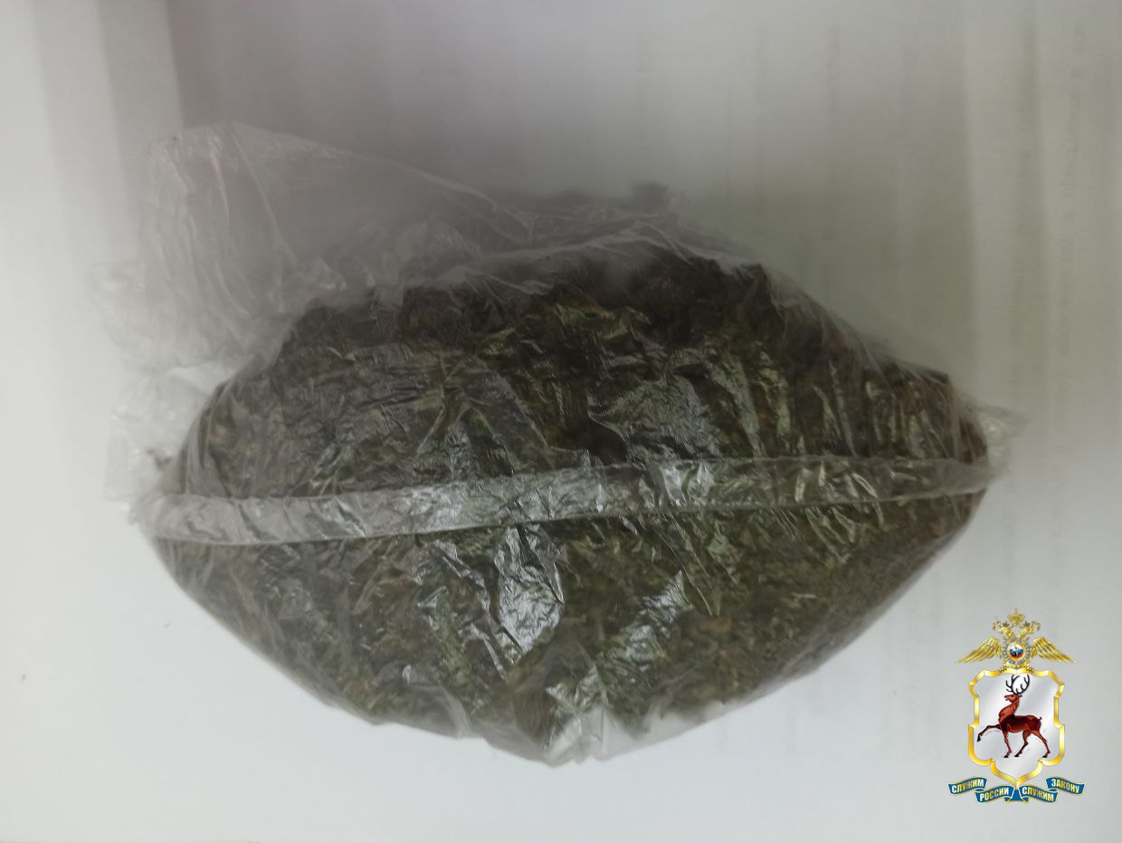 На Бору будут судить мужчину за покушение на сбыт крупной партии марихуаны На Бору будут судить мужчину за покушение на сбыт крупной партии марихуаны