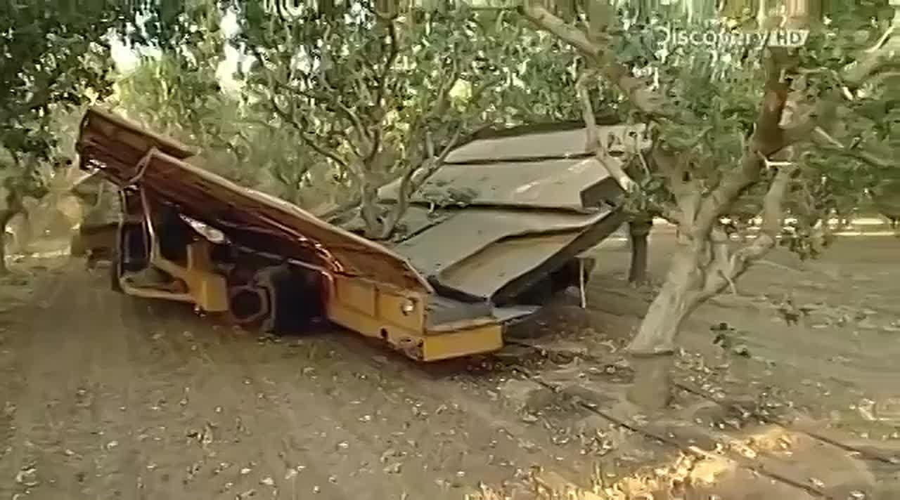 26 февраля отмечается Всемирный день фисташек — неофициальный праздник, посвященный популярным и полезным орехам, история употребления которых насчитывает тысячи лет