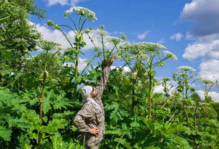 �������� ����������� � ���� ������� ���������� ������������ � ������ � ���������� � ������������� �������