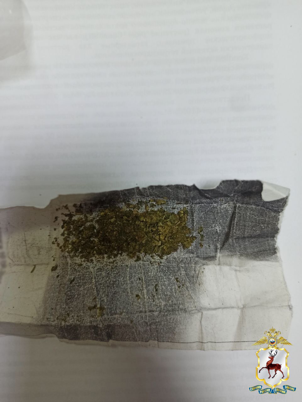 На Бору будут судить мужчину за покушение на сбыт крупной партии марихуаны На Бору будут судить мужчину за покушение на сбыт крупной партии марихуаны